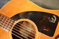 Epiphone TEXAN NT【VINTAGE/1965年】_10