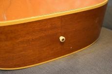 Epiphone TEXAN NT【VINTAGE/1965年】_13