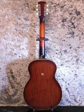 Dobro C-65 Plainsman 60's_2