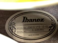 Ibanez JSM-10 VYS John Scofield Signature ジョン スコフィールド!_14