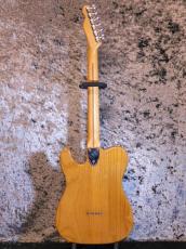 Fender Telecaster Thinline '78_2