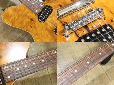 dragonfly BORDER CUSTOM 666_6