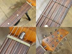 dragonfly BORDER CUSTOM 666_7