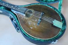 Gibson Style-A Flat Mandolin / Solid Arched Spruce Top・Solid Maple Side and Back・Mahogany Neck・Ebony Fingerboard・Original peg・Ivoroid Binding・Gibson Mandolin Guitar Label・Kalamazoo Made【With Kasuga Hard Case_2