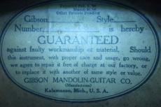 Gibson Style-A Flat Mandolin / Solid Arched Spruce Top・Solid Maple Side and Back・Mahogany Neck・Ebony Fingerboard・Original peg・Ivoroid Binding・Gibson Mandolin Guitar Label・Kalamazoo Made【With Kasuga Hard Case_16