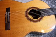 Orpheus Valley Guitars 90th Anniversary 杉/サントスローズウッド単板【人気機種】【只々美しい個体です】【池袋店在庫品】_3