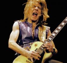 Gibson Les Paul Pickguard Randy Rhoads/ランディーローズ/ピックガード/全国一律送料無料_4
