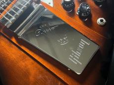 Gibson Firebird Vib 201_5