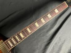 Gibson Firebird Vib 201_6