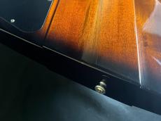 Gibson Firebird Vib 201_9