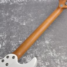 Bacchus GS-4DX RSM/M【 WH】_9