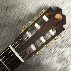 Matthew Rubendal 2023年製 松/マダガスカルローズ【650mm】_4