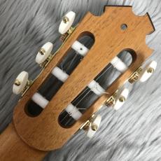 Matthew Rubendal 2023年製 松/マダガスカルローズ【650mm】_9