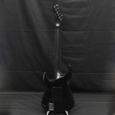 E-II HORIZON FR-II See Thru Black Sunburst_3