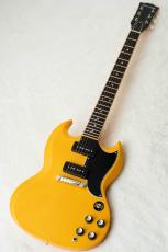 Edwards E-SG-SP-LTD -TV Yellow- #ED8381253 【数量限定生産モデル】_2