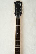 Edwards E-SG-SP-LTD -TV Yellow- #ED8381253 【数量限定生産モデル】_4