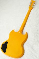 Edwards E-SG-SP-LTD -TV Yellow- #ED8381253 【数量限定生産モデル】_6