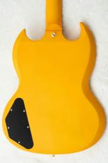 Edwards E-SG-SP-LTD -TV Yellow- #ED8381253 【数量限定生産モデル】_7