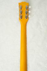 Edwards E-SG-SP-LTD -TV Yellow- #ED8381253 【数量限定生産モデル】_8
