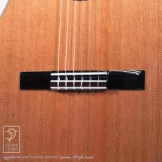 ASTURIAS Solo Classico Vivo CC_10