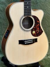 Maton EBG808C Tommy Emmanuel #33041【48回迄金利0%対象】【送料当社負担】
