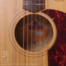 Cole Clark  FL2AC_12