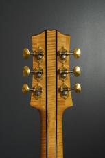 Julius Borges CUSTOM GUITAR_8