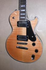 SCHECTER SOLO-Ⅱ　CUSTOM_2