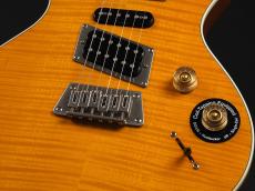 Epiphone Nighthawk Custom Reissue ~Trans Amber~_6