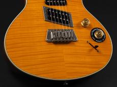 Epiphone Nighthawk Custom Reissue ~Trans Amber~_7