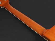 Epiphone Nighthawk Custom Reissue ~Trans Amber~_10