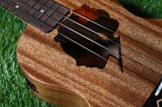 TODO MUSIC UTD-W20C Concert