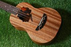 TODO MUSIC UTD-W20C Concert_2