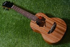 TODO MUSIC UTD-W20C Concert_3