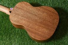 TODO MUSIC UTD-W20C Concert_4