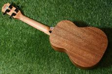 TODO MUSIC UTD-W20C Concert_5