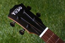 TODO MUSIC UTD-W20C Concert_6