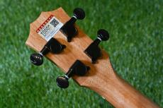 TODO MUSIC UTD-W20C Concert_7