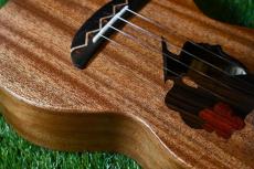 TODO MUSIC UTD-W20C Concert_11