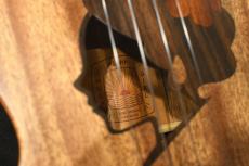 TODO MUSIC UTD-W20C Concert_16