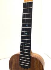 KoAloha KCM-10 Concert Pikake 【ハワイ製】【コンサートサイズ】_4