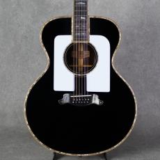 YAMAHA Special Order Made PS#2-12strings Model