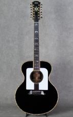 YAMAHA Special Order Made PS#2-12strings Model_2