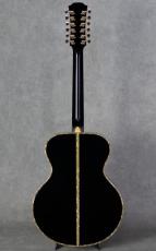 YAMAHA Special Order Made PS#2-12strings Model_4