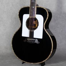 YAMAHA Special Order Made PS#2-12strings Model_5