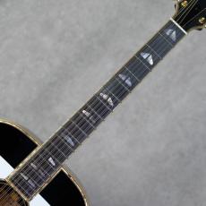YAMAHA Special Order Made PS#2-12strings Model_7