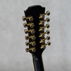 YAMAHA Special Order Made PS#2-12strings Model_10