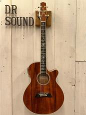 Takamine Custom TSP178ACK Glass Flower   #62030178 【無金利分割OK】【送料込み】_2