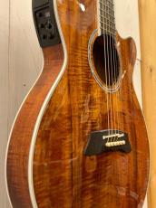 Takamine Custom TSP178ACK Glass Flower   #62030178 【無金利分割OK】【送料込み】_4