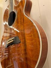 Takamine Custom TSP178ACK Glass Flower   #62030178 【無金利分割OK】【送料込み】_5